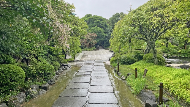 令和八年午歳特別結縁巡礼について